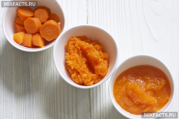 Как вводить морковь в прикорм – правила и полезные рецепты