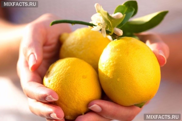 Как применять оливковое масло с лимоном для волос? 