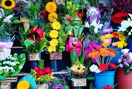 Открытие цветочного магазина – примеры названий и оформления помещения   