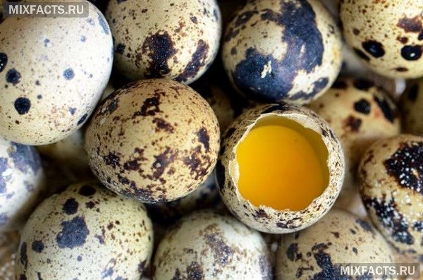 Перепелиные яйца  