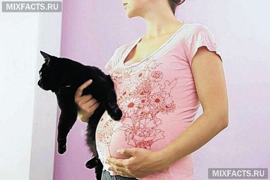 Животные могут сильно повлиять на здоровье беременной женщины