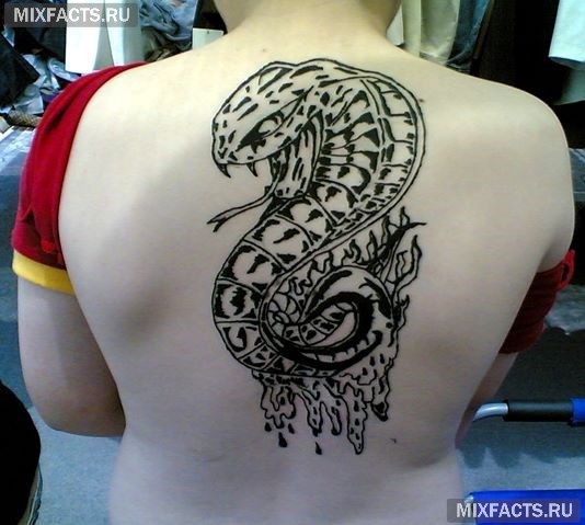 племенные татуировки змеи
