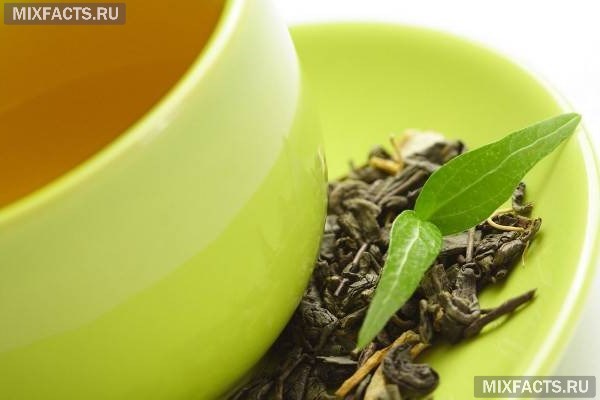 полезные свойства ива-чая