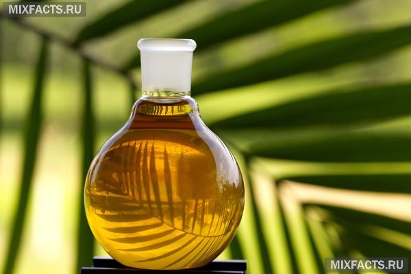 полезные свойства пальмового масла