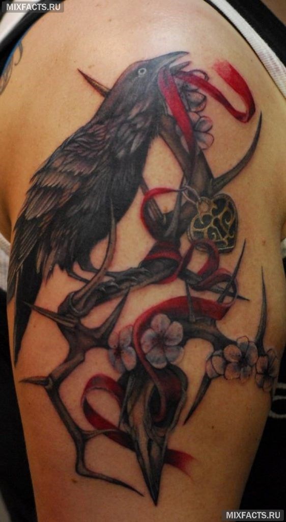 татуировка ворона 