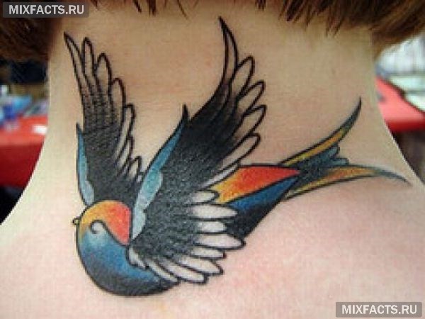птицы татуировки для девушек