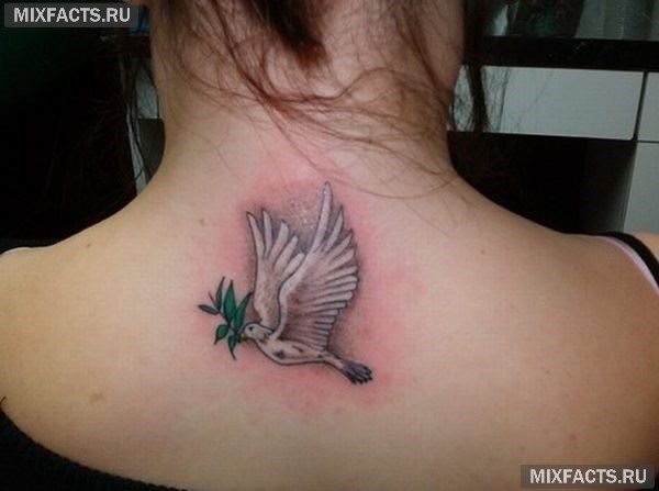 татуировки птиц значение