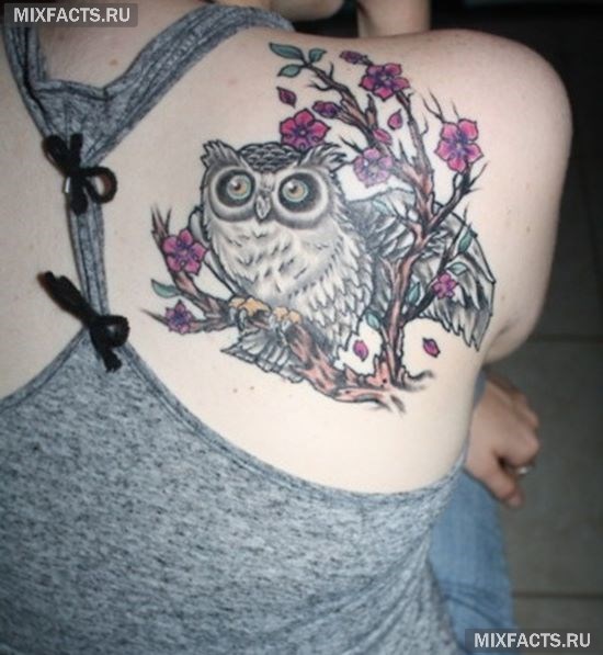 татуировка совы на лопатке