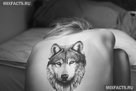 женская тату волка на спине