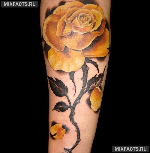 татуировка роза на ноге