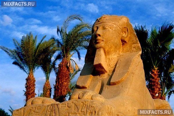 отдых и отели в Египте